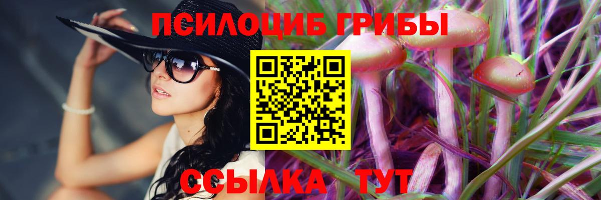 Норильск  Псилоцибиновые грибы MAGIC MUSHROOMS  Вход с VPN 